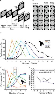 Absolute Numerosity Discrimination as a Case Study in Comparative Vertebrate Intelligence